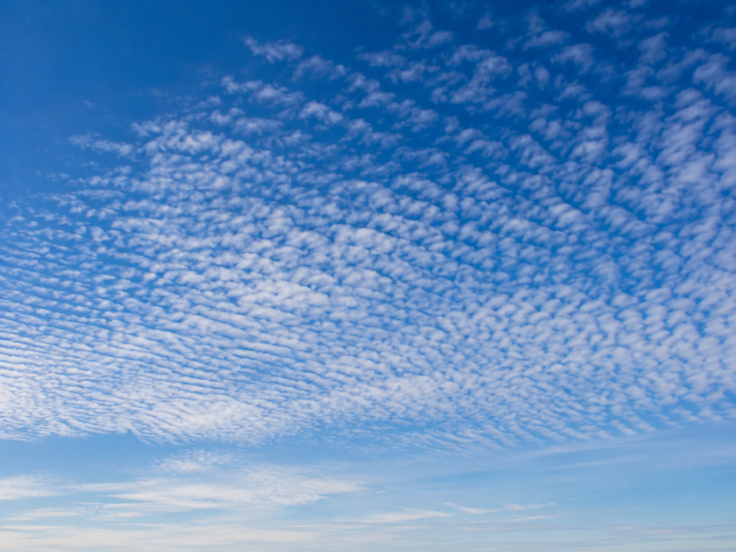 Cirrocumulus clouds: Tiny white tufts arranged in rows or ripples — sometimes called a "mackerel sky".