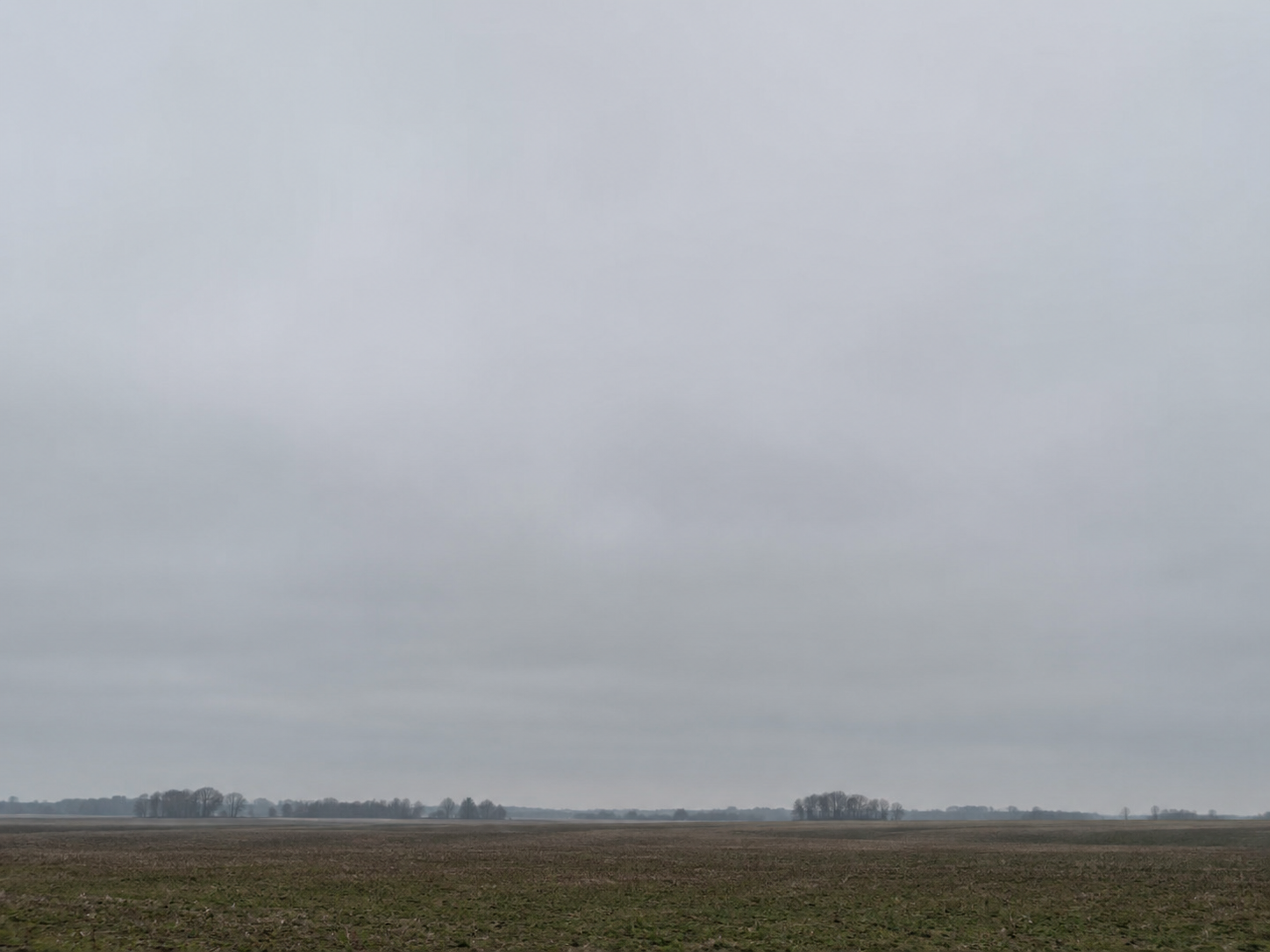 Stratus clouds: A flat, featureless gray blanket sitting low — basically fog you can stand under.